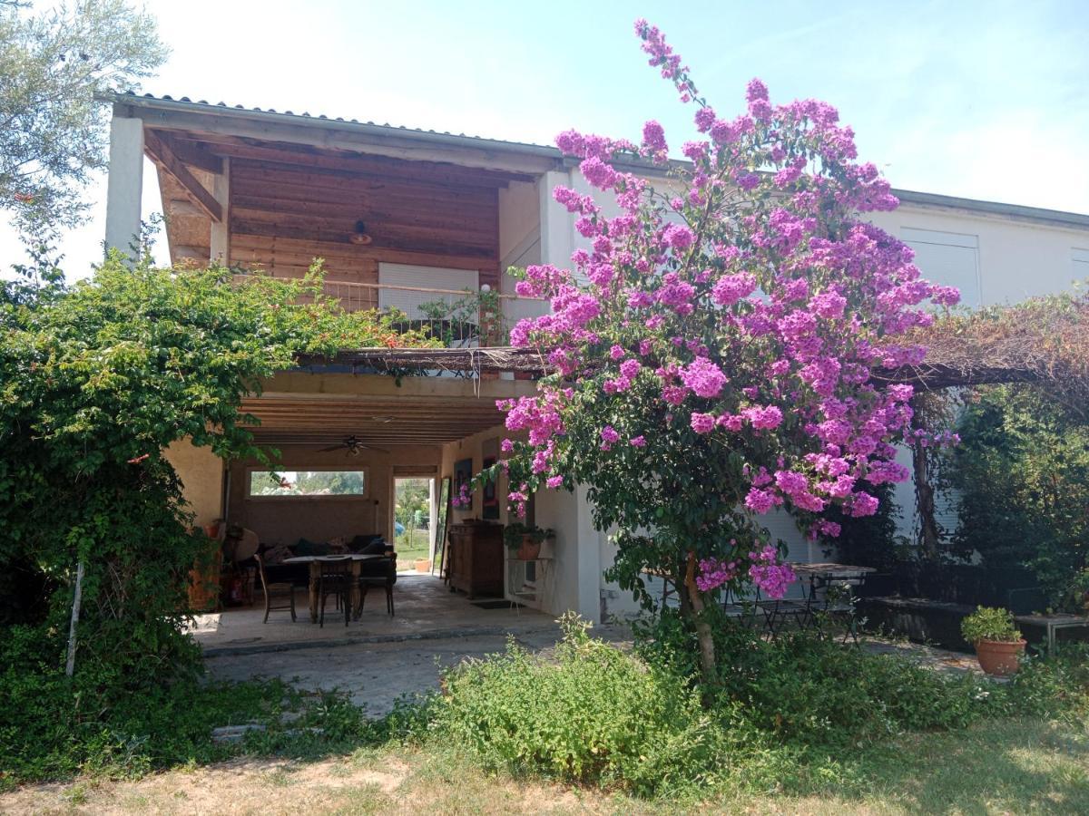Villa Domaine Limouzy Narbona Esterno foto