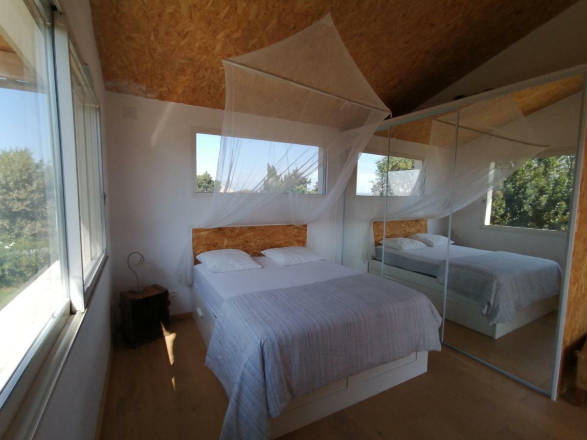 Villa Domaine Limouzy Narbona Esterno foto